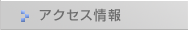 �A�N�Z�X���