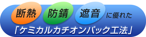 �f�M�A�h�K�A�Չ��ɗD�ꂽ�u�P�~�J���J�`�I���p�b�N�H�@�v
