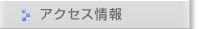 �A�N�Z�X���
